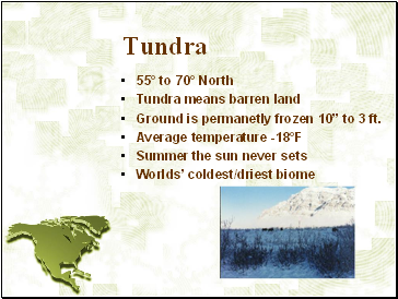 Tundra