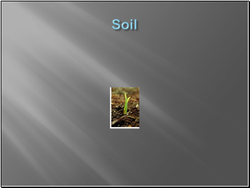 Soil