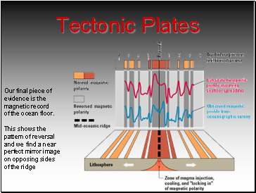 Tectonic Plates