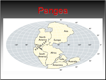 Pangea