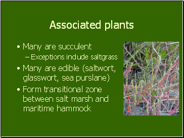 Associated plants