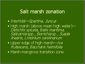 Salt marsh zonation