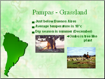 Pampas - Grassland