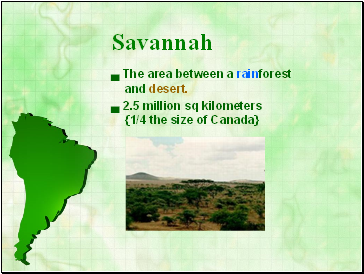 Savannah