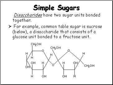 Simple Sugars