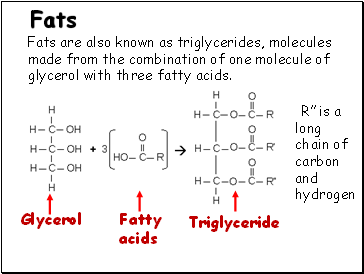 Fats