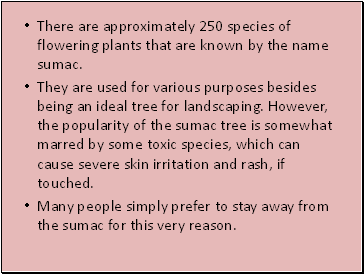 There are approximately 250 species of flowering plants that are known by the name sumac.