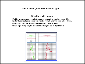 WELL LOG (The Bore Hole Image)