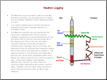 Neutron Logging