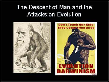 The Descent of Man and the Attacks on Evolution