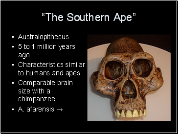 “The Southern Ape”