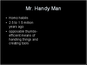 Mr. Handy Man
