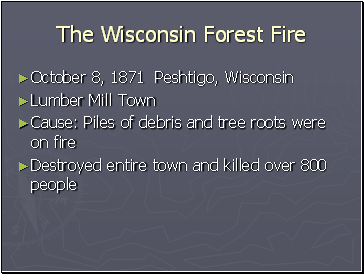 The Wisconsin Forest Fire