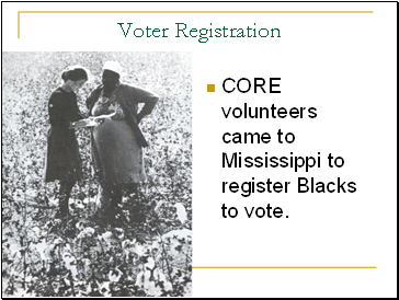 Voter Registration