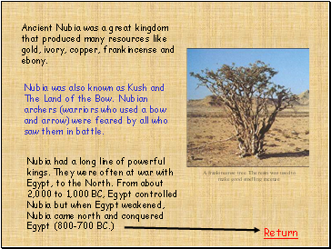 Ancient Nubia was a great kingdom that produced many resources like gold, ivory, copper, frankincense and ebony.