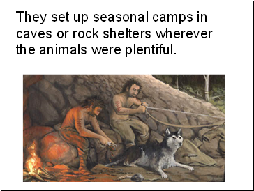 They set up seasonal camps in caves or rock shelters wherever the animals were plentiful.