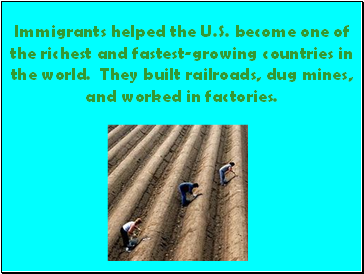 Immigrants helped the U.S. become one of the richest and fastest-growing countries in the world. They built railroads, dug mines, and worked in factories.