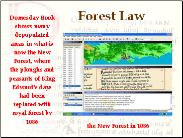 Forest Law