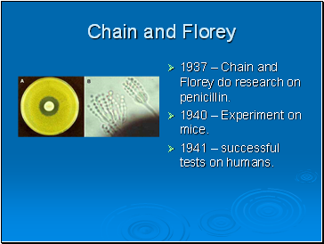 Chain and Florey