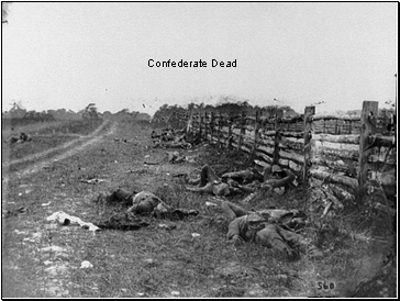 Confederate Dead