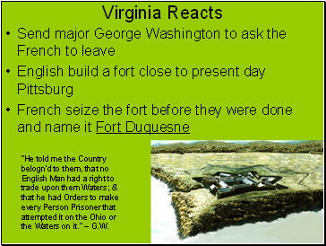 Virginia Reacts