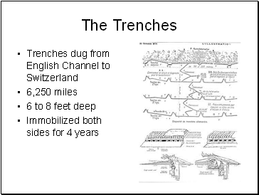 The Trenches