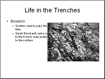 Life in the Trenches