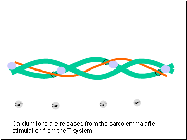 Ca2+