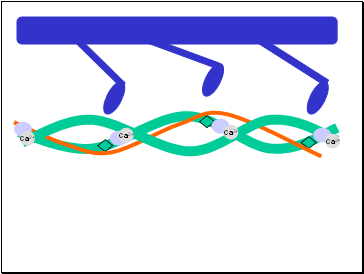 Ca2+