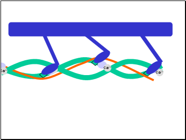 Ca2+