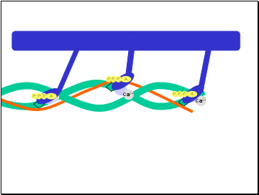 Ca2+