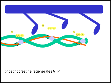 Ca2+