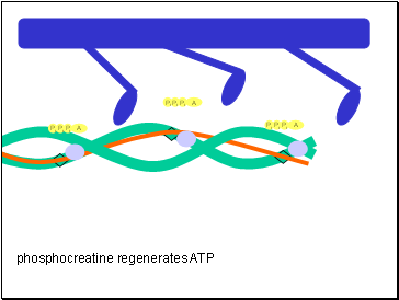 Ca2+