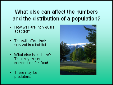 What else can affect the numbers and the distribution of a population?