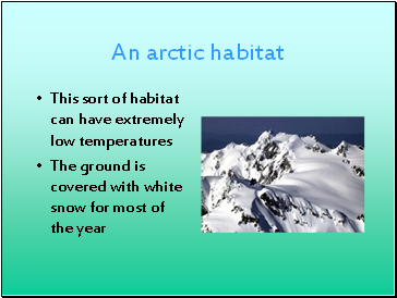 An arctic habitat