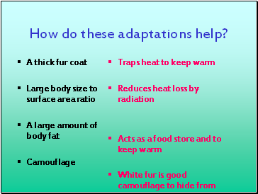 How do these adaptations help?