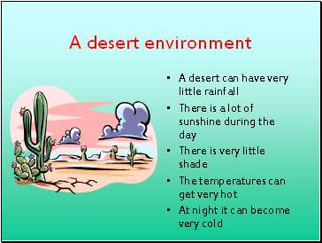 A desert environment