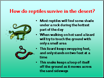 How do reptiles survive in the desert?