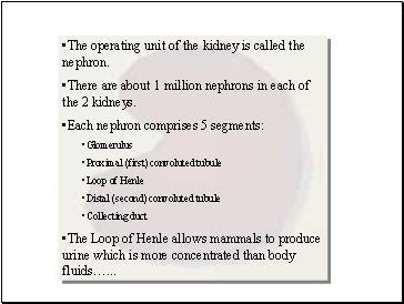 The operating unit of the kidney is called the nephron.