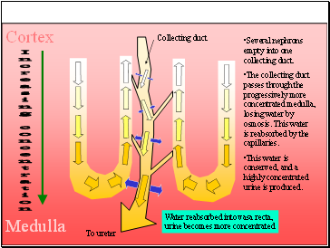 Increasing concentration