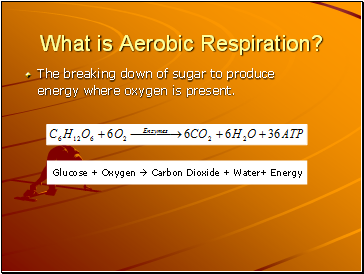 What is Aerobic Respiration?