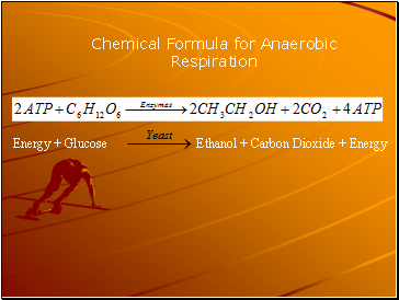 Energy + Glucose