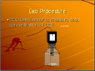 Lab Procedure
