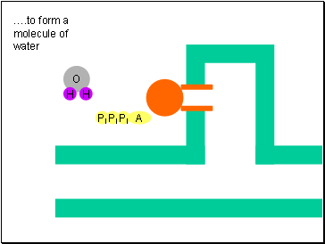 .to form a molecule of water