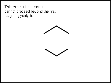 This means that respiration cannot proceed beyond the first stage  glycolysis.