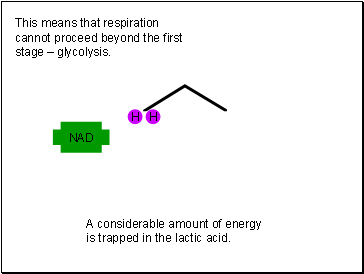 This means that respiration cannot proceed beyond the first stage  glycolysis.