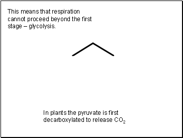 This means that respiration cannot proceed beyond the first stage  glycolysis.