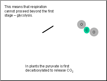 This means that respiration cannot proceed beyond the first stage  glycolysis.