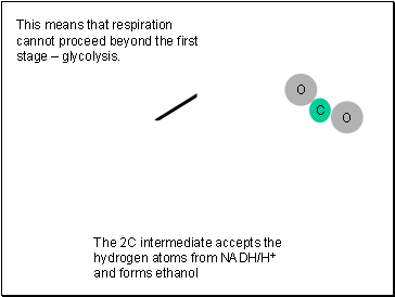 This means that respiration cannot proceed beyond the first stage  glycolysis.