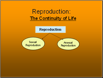 Reproduction: